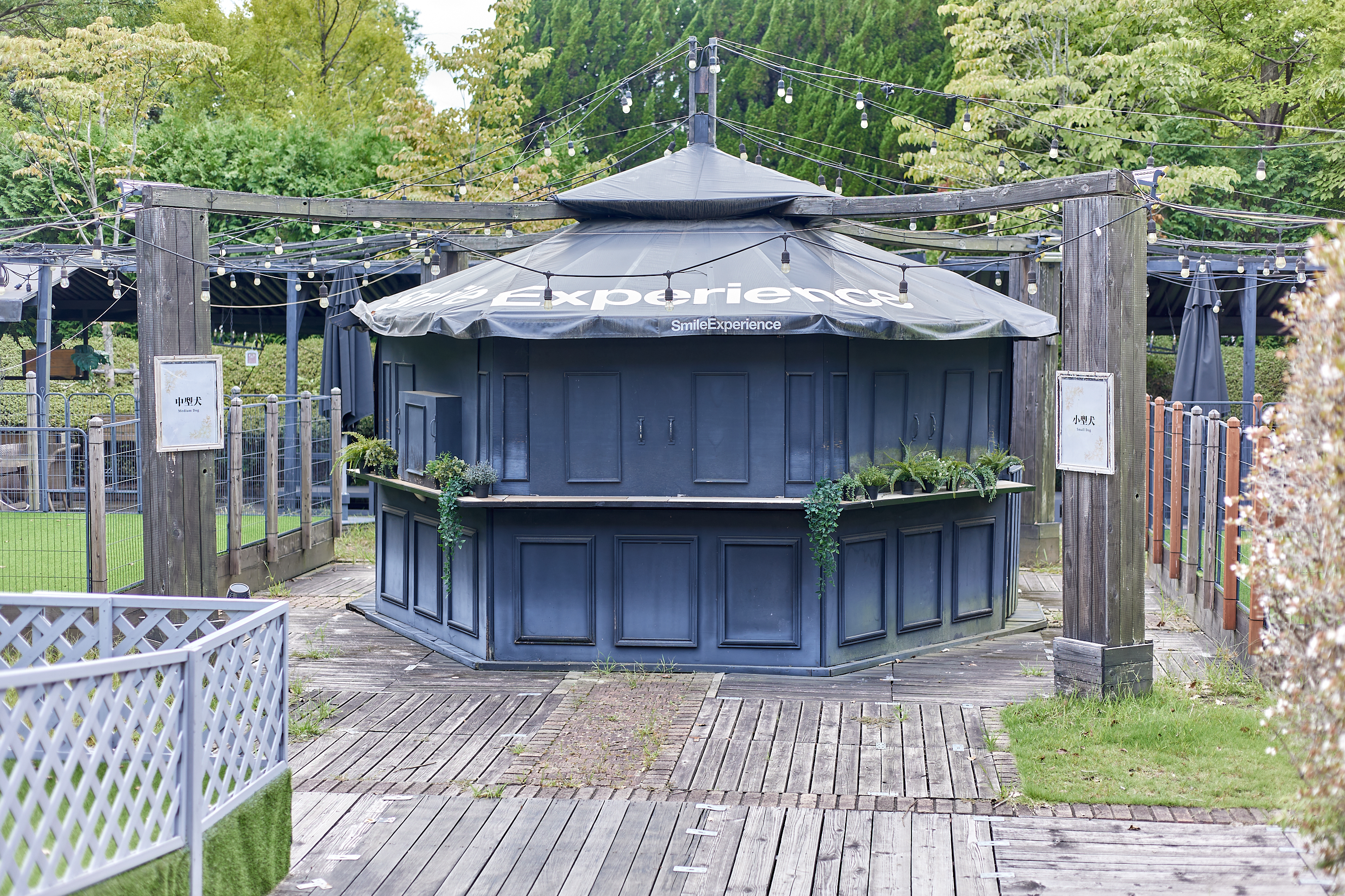 2025-2026年度1R2Z地区ガバナー公式訪問合同例会 ひたちなかベストライオンズクラブ 茨城 ひたちなか ライオンズクラブ