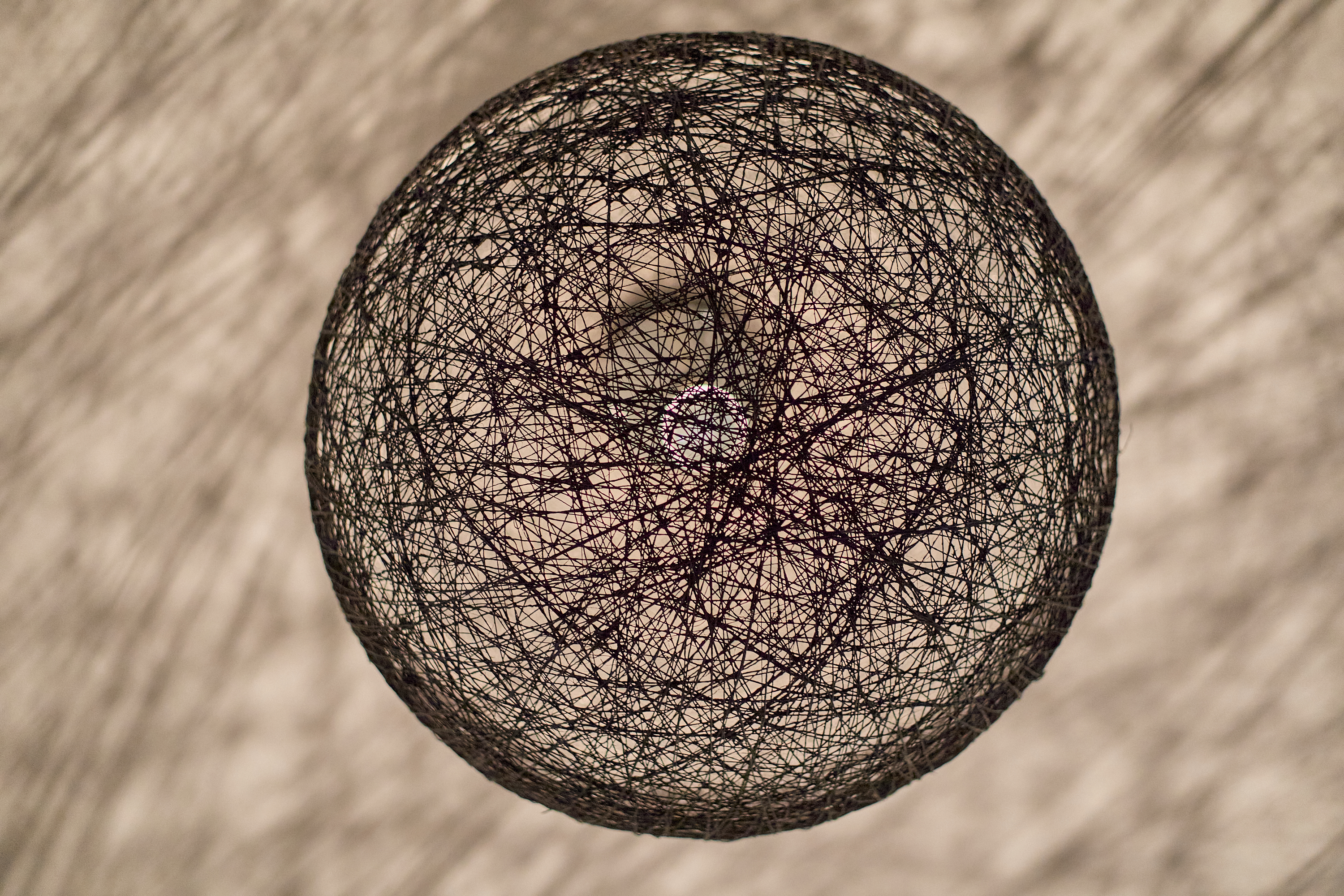 1R合同諮問委員会 ひたちなかベストライオンズクラブ 茨城 ひたちなか ライオンズクラブ