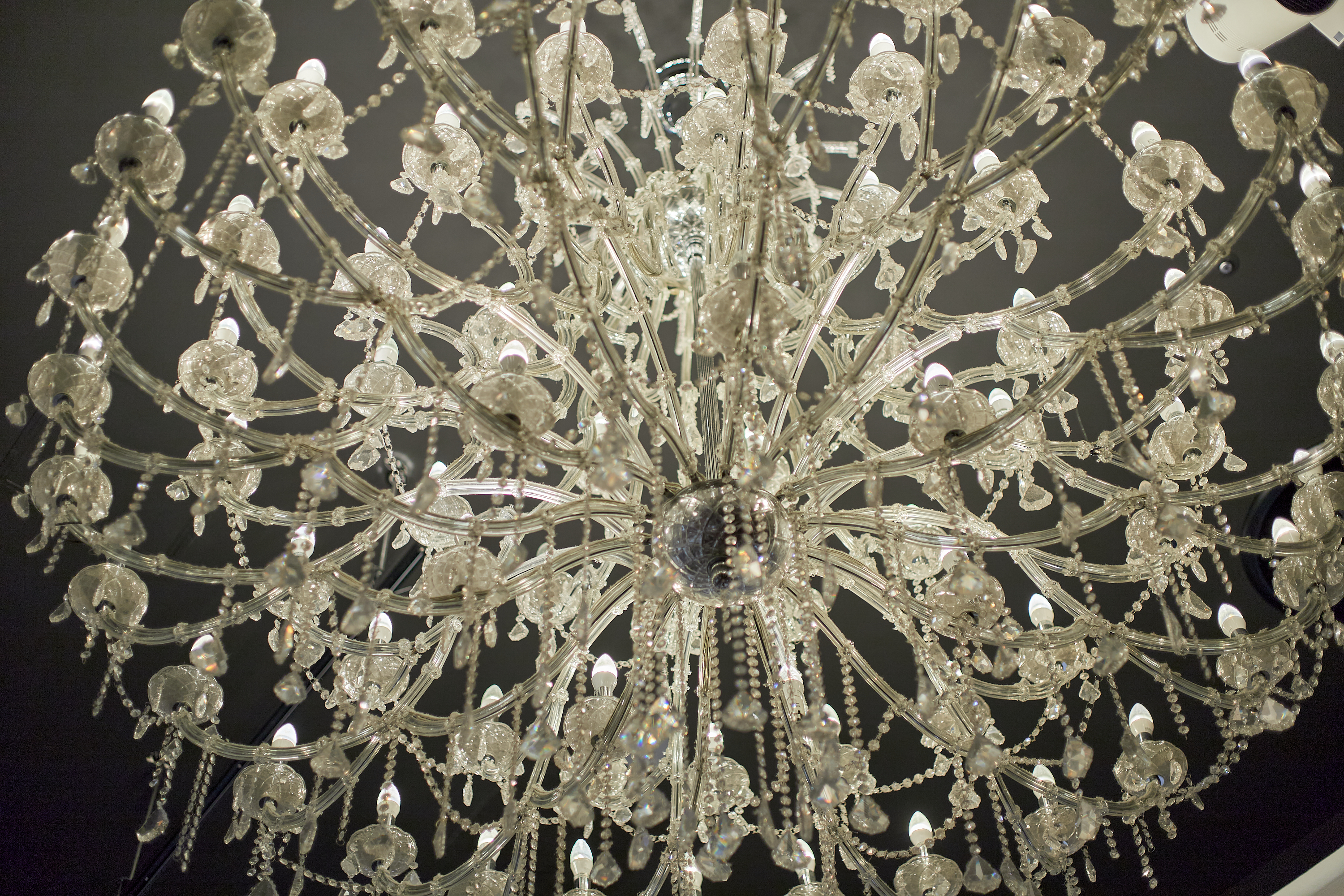 1R合同諮問委員会 ひたちなかベストライオンズクラブ 茨城 ひたちなか ライオンズクラブ