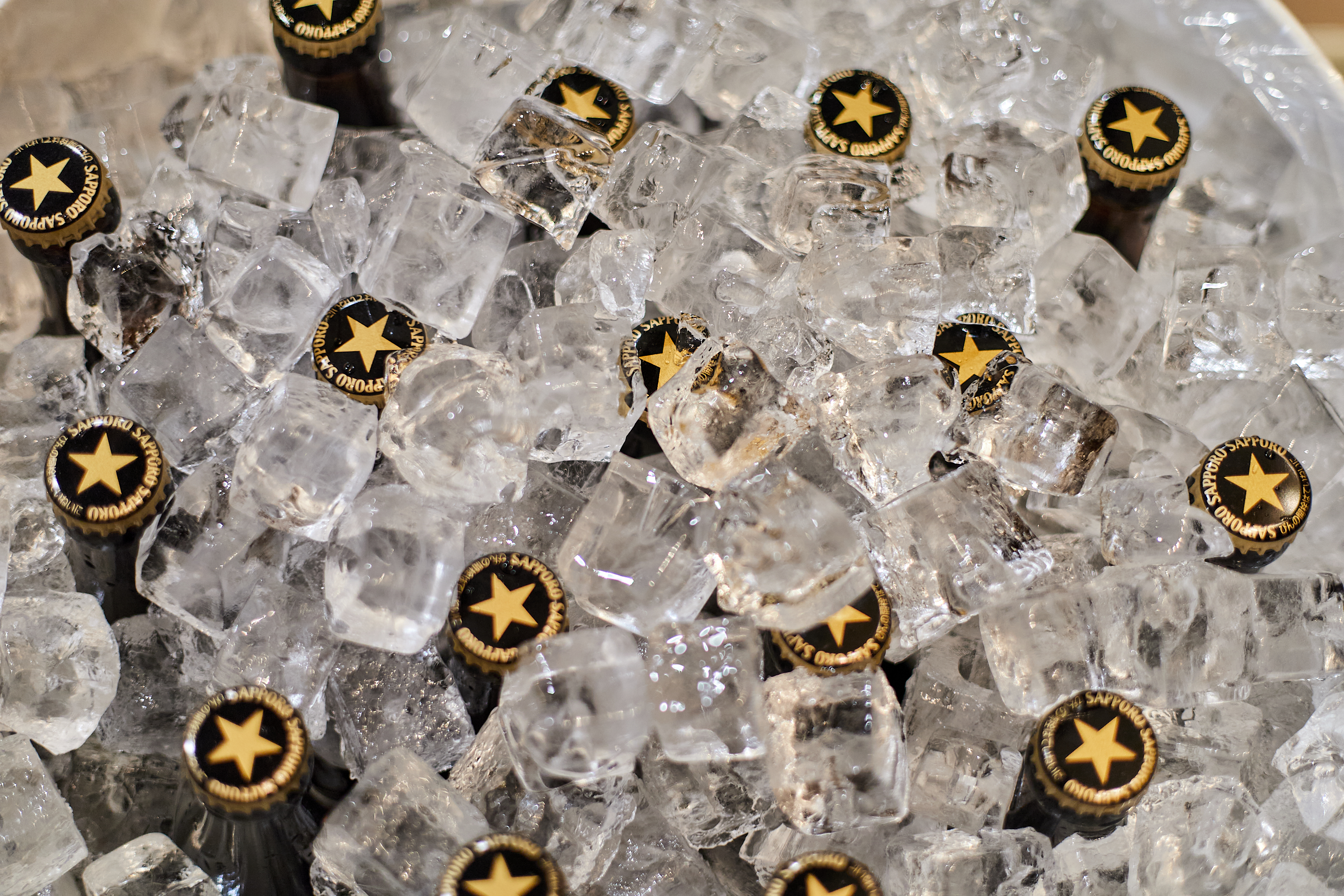 1R合同諮問委員会 ひたちなかベストライオンズクラブ 茨城 ひたちなか ライオンズクラブ