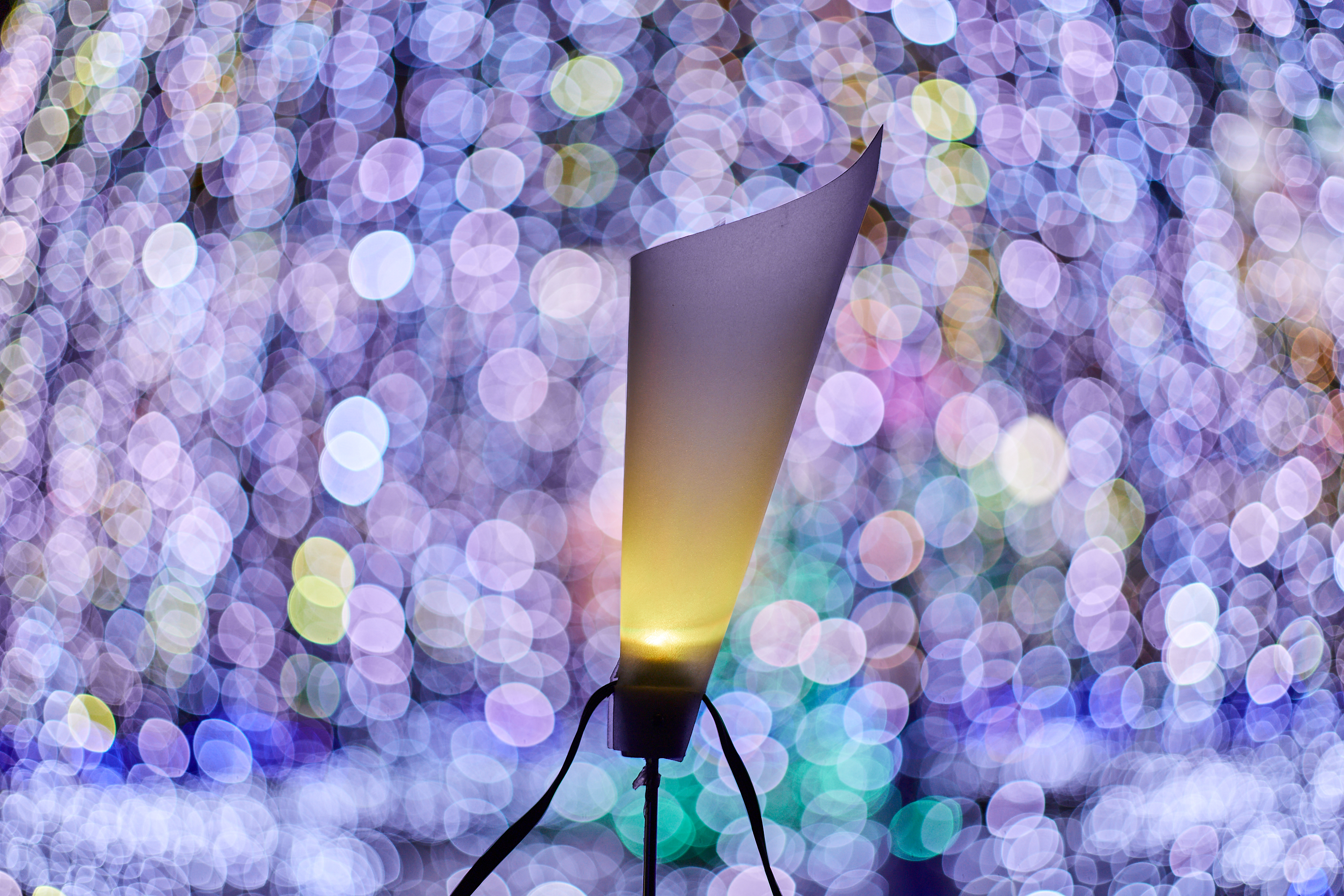 1R合同諮問委員会 ひたちなかベストライオンズクラブ 茨城 ひたちなか ライオンズクラブ