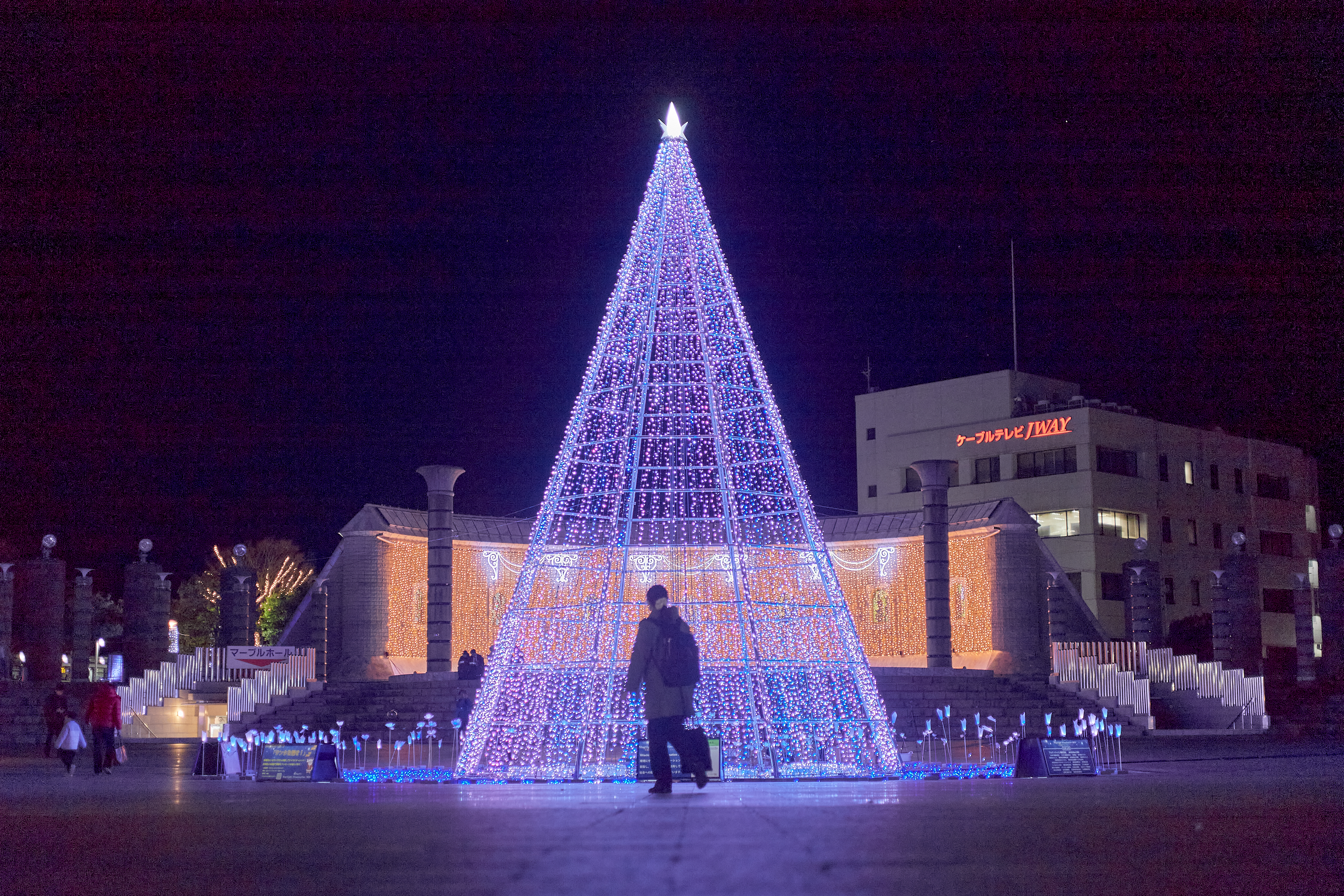 1R合同諮問委員会 ひたちなかベストライオンズクラブ 茨城 ひたちなか ライオンズクラブ