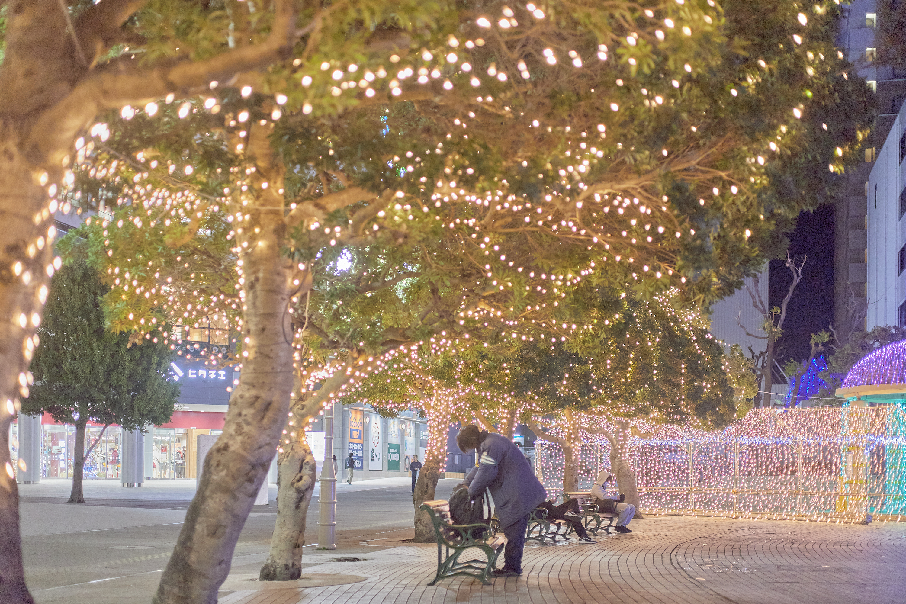 1R合同諮問委員会 ひたちなかベストライオンズクラブ 茨城 ひたちなか ライオンズクラブ