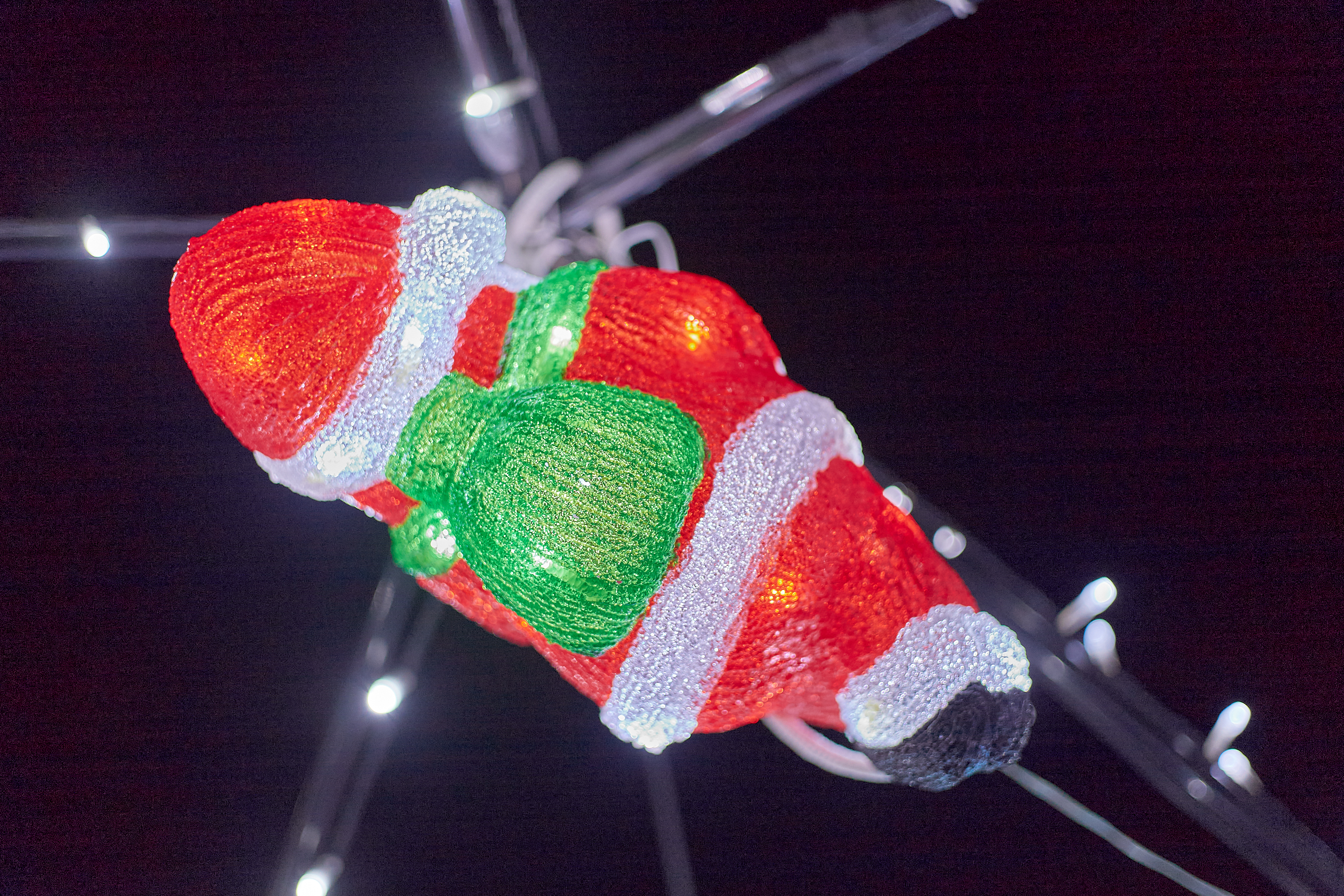 1R合同諮問委員会 ひたちなかベストライオンズクラブ 茨城 ひたちなか ライオンズクラブ