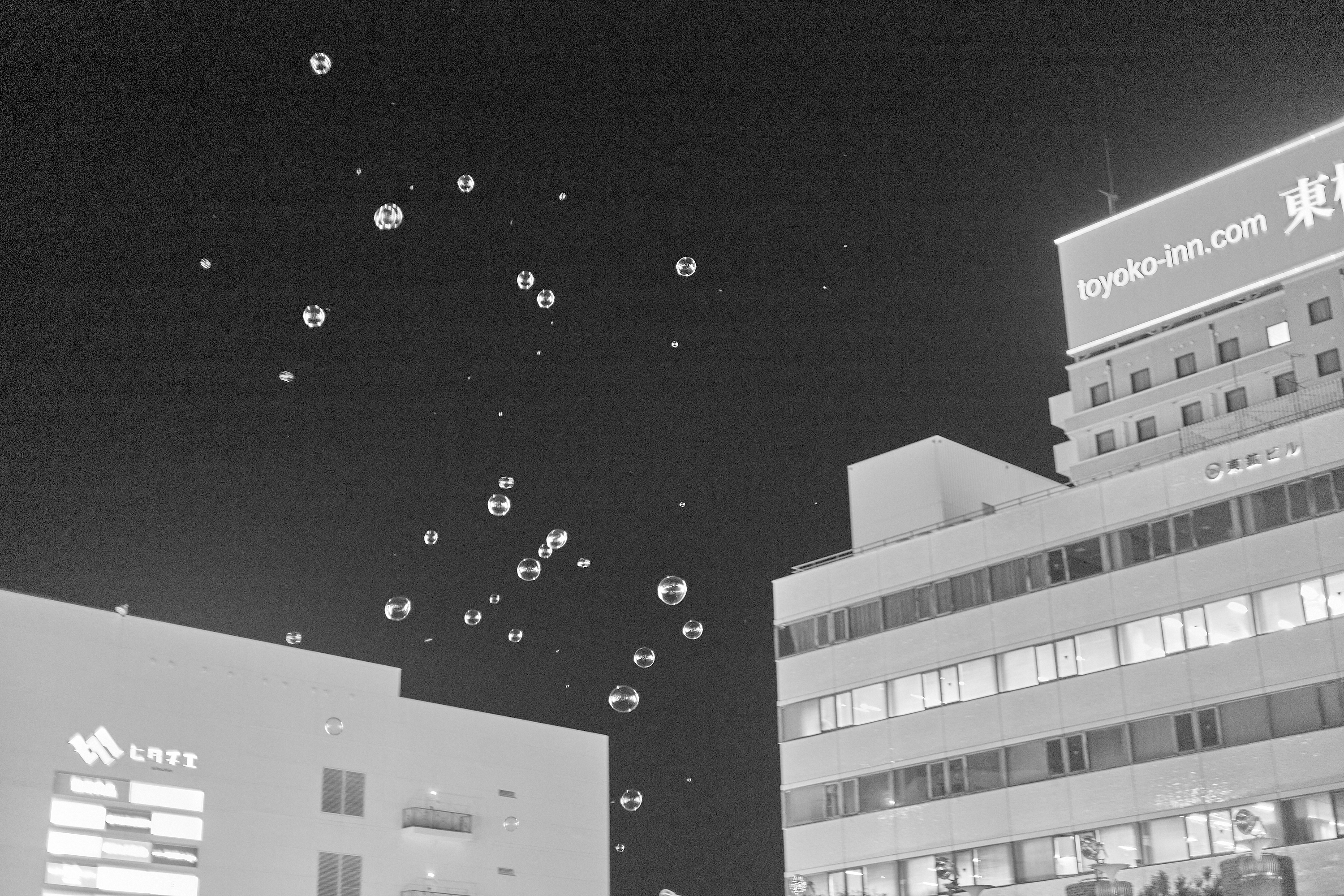 1R合同諮問委員会 ひたちなかベストライオンズクラブ 茨城 ひたちなか ライオンズクラブ