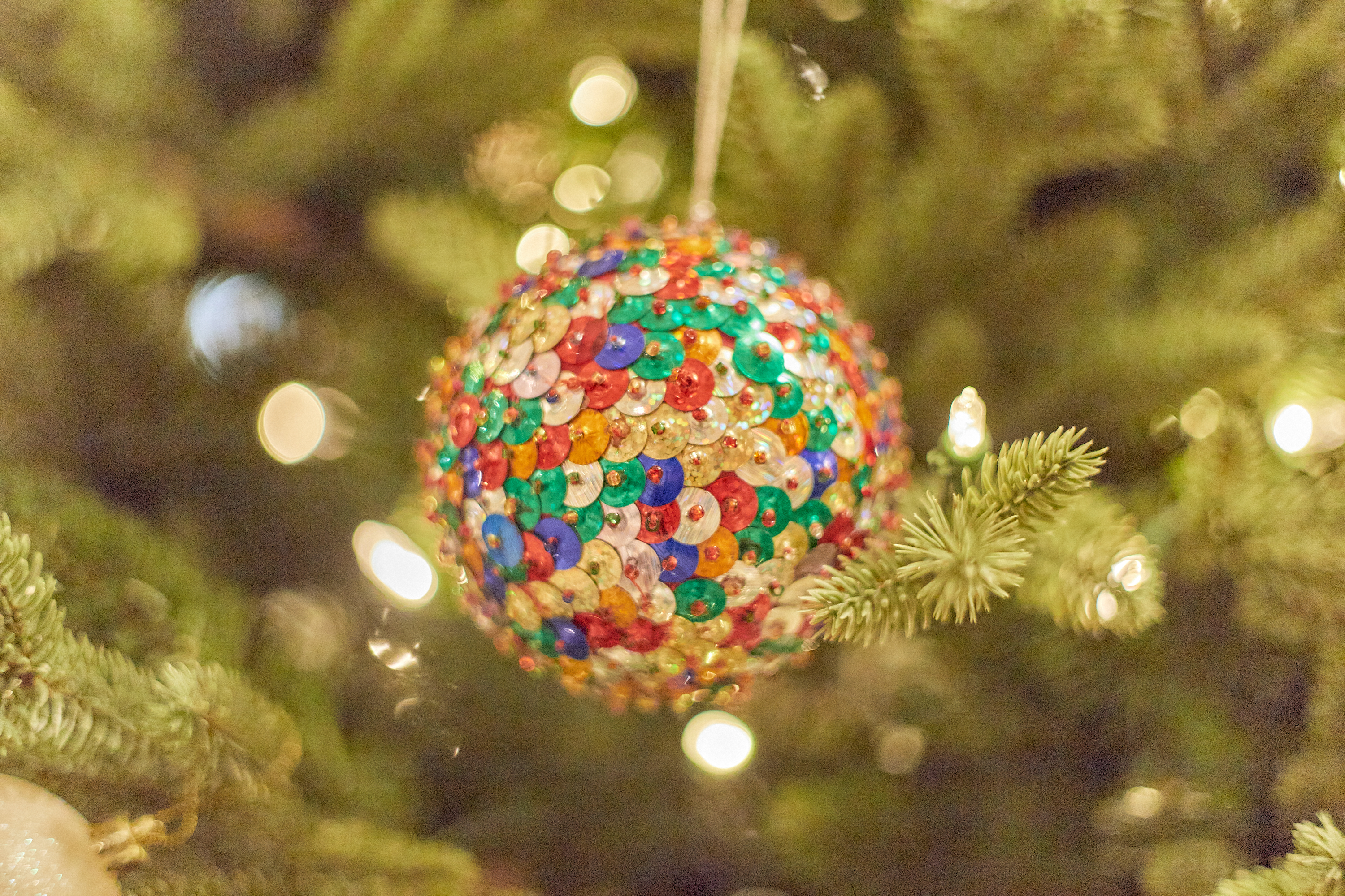 1R合同諮問委員会 ひたちなかベストライオンズクラブ 茨城 ひたちなか ライオンズクラブ