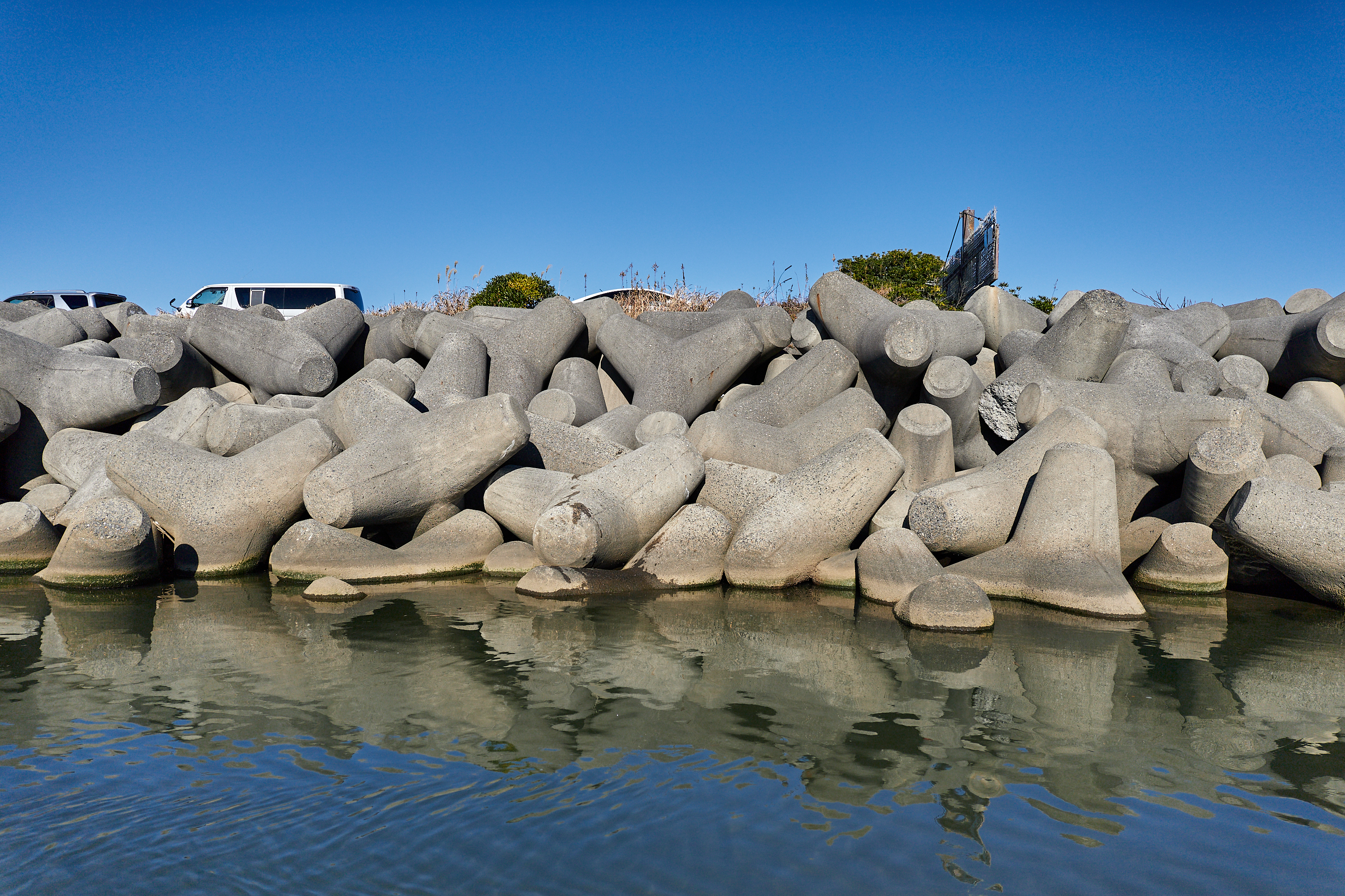 2Z合同アクティビティ ひたちなかベストライオンズクラブ 茨城 ひたちなか ライオンズクラブ
