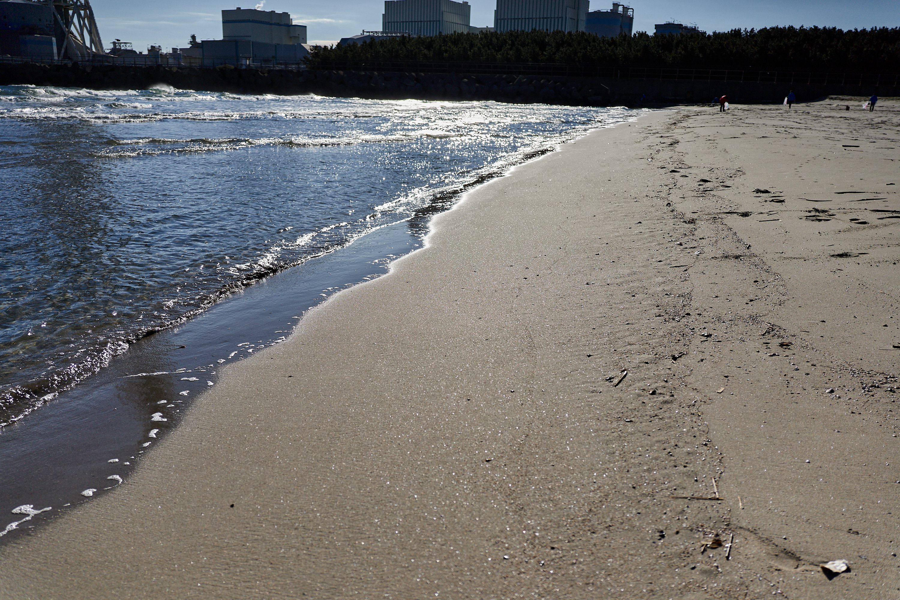 2Z合同アクティビティ ひたちなかベストライオンズクラブ 茨城 ひたちなか ライオンズクラブ