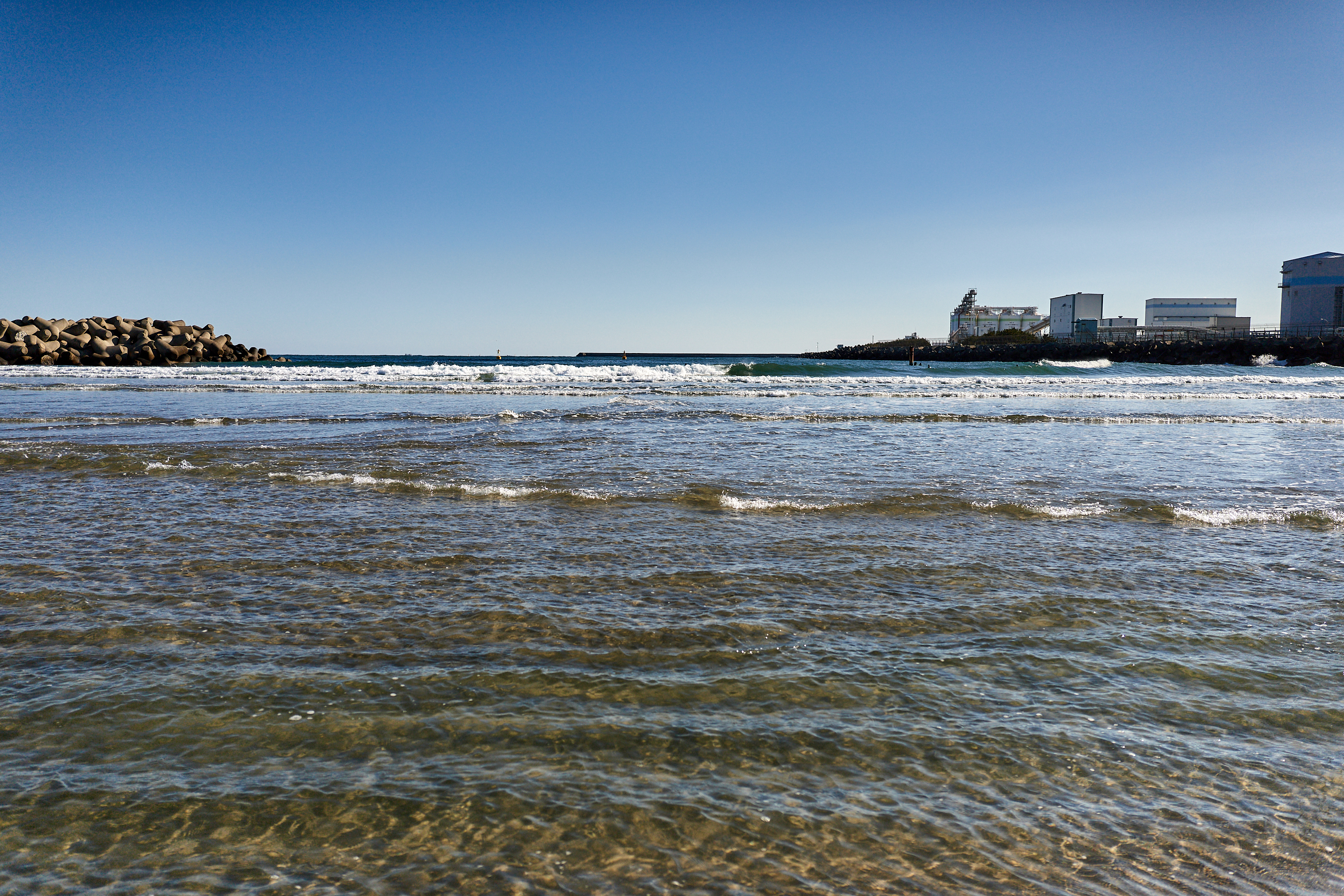 2Z合同アクティビティ ひたちなかベストライオンズクラブ 茨城 ひたちなか ライオンズクラブ
