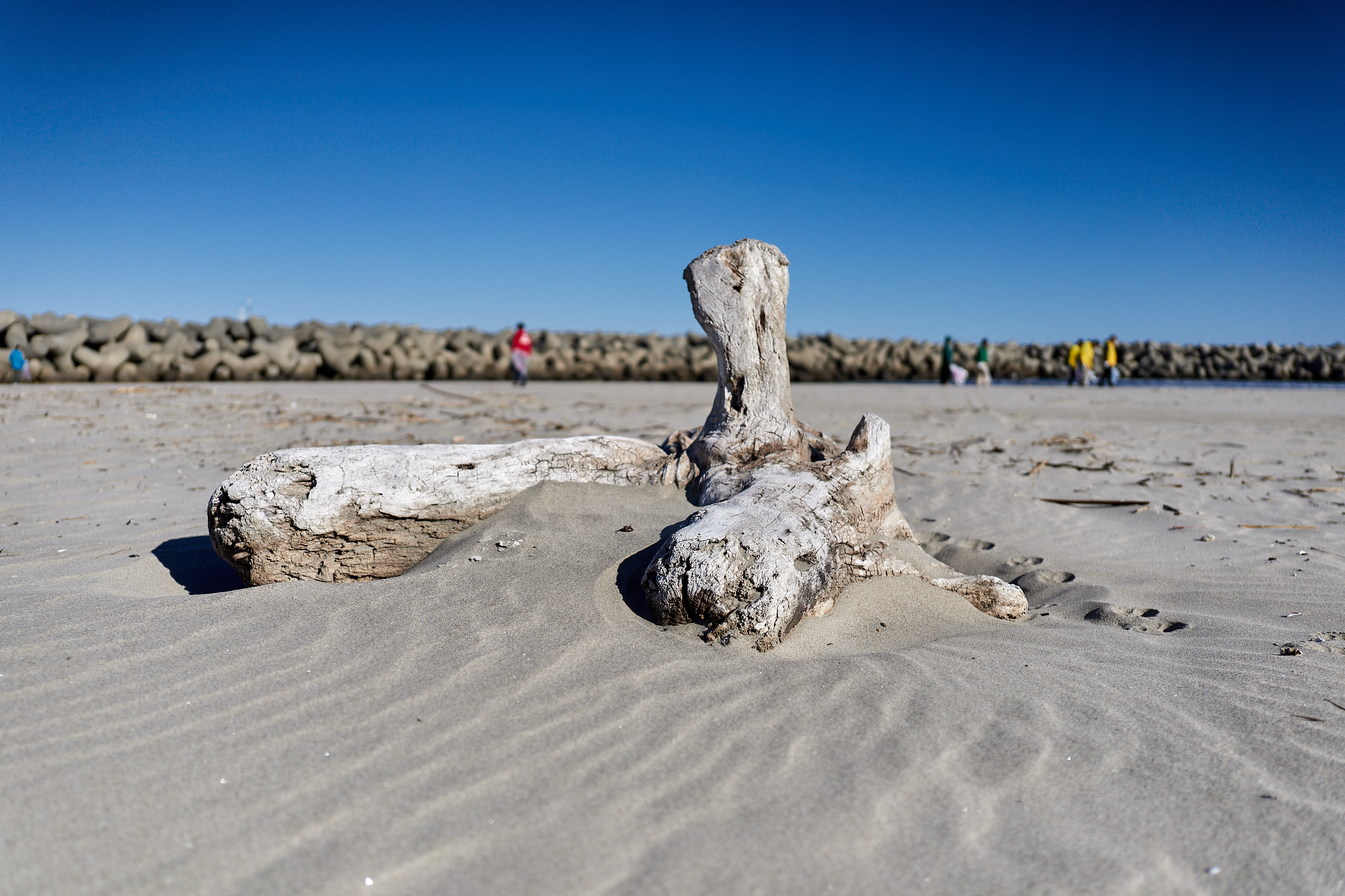 2Z合同アクティビティ ひたちなかベストライオンズクラブ 茨城 ひたちなか ライオンズクラブ