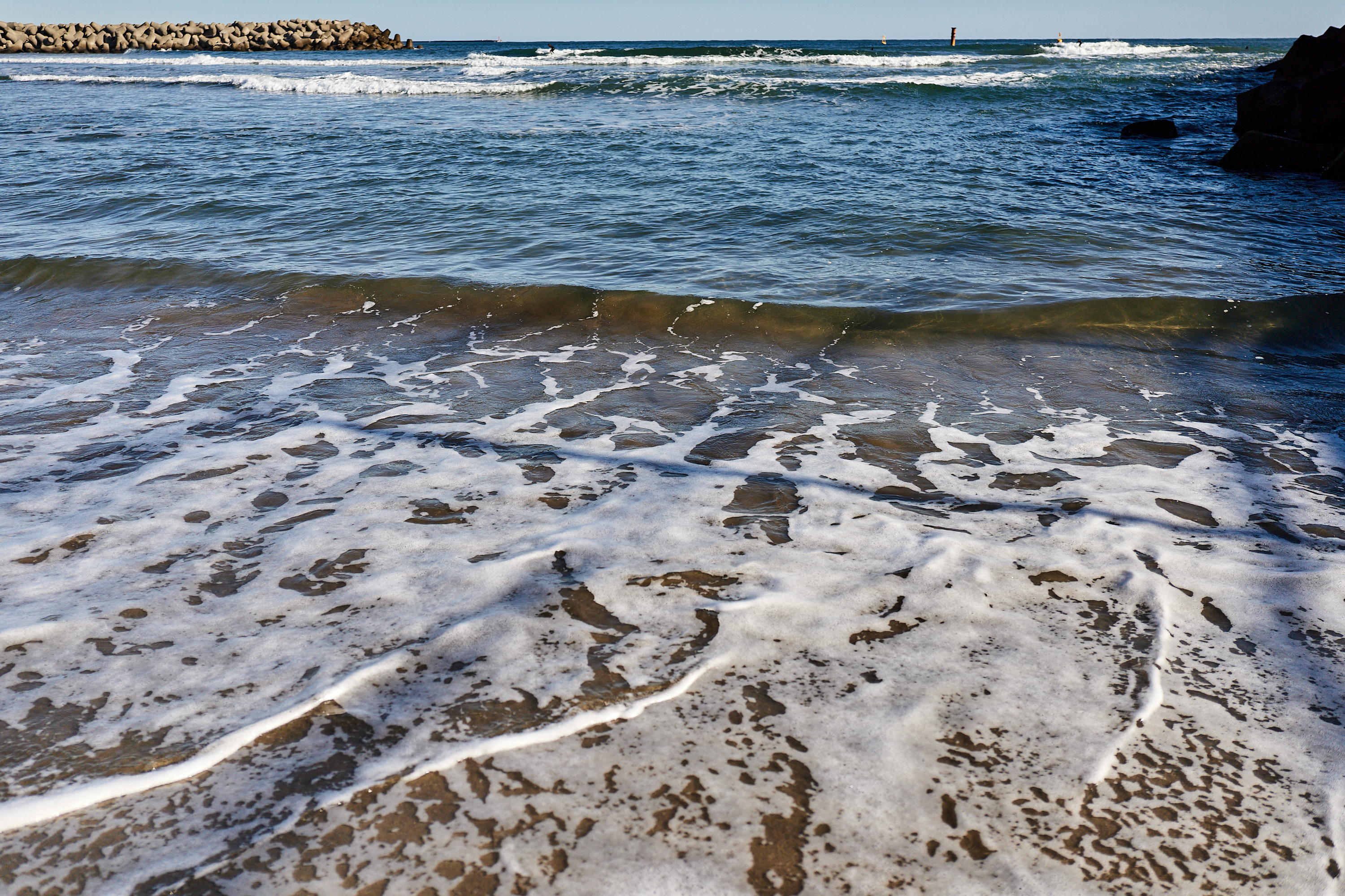 2Z合同アクティビティ ひたちなかベストライオンズクラブ 茨城 ひたちなか ライオンズクラブ