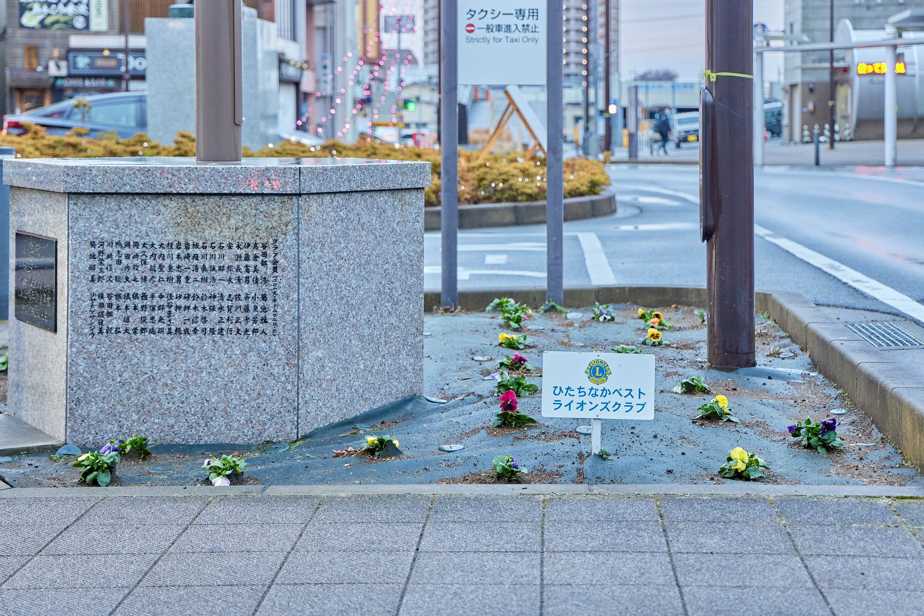 12月事業「勝田駅前花壇プロジェクト」ひたちなかベストライオンズクラブ 茨城 ひたちなか ライオンズクラブ