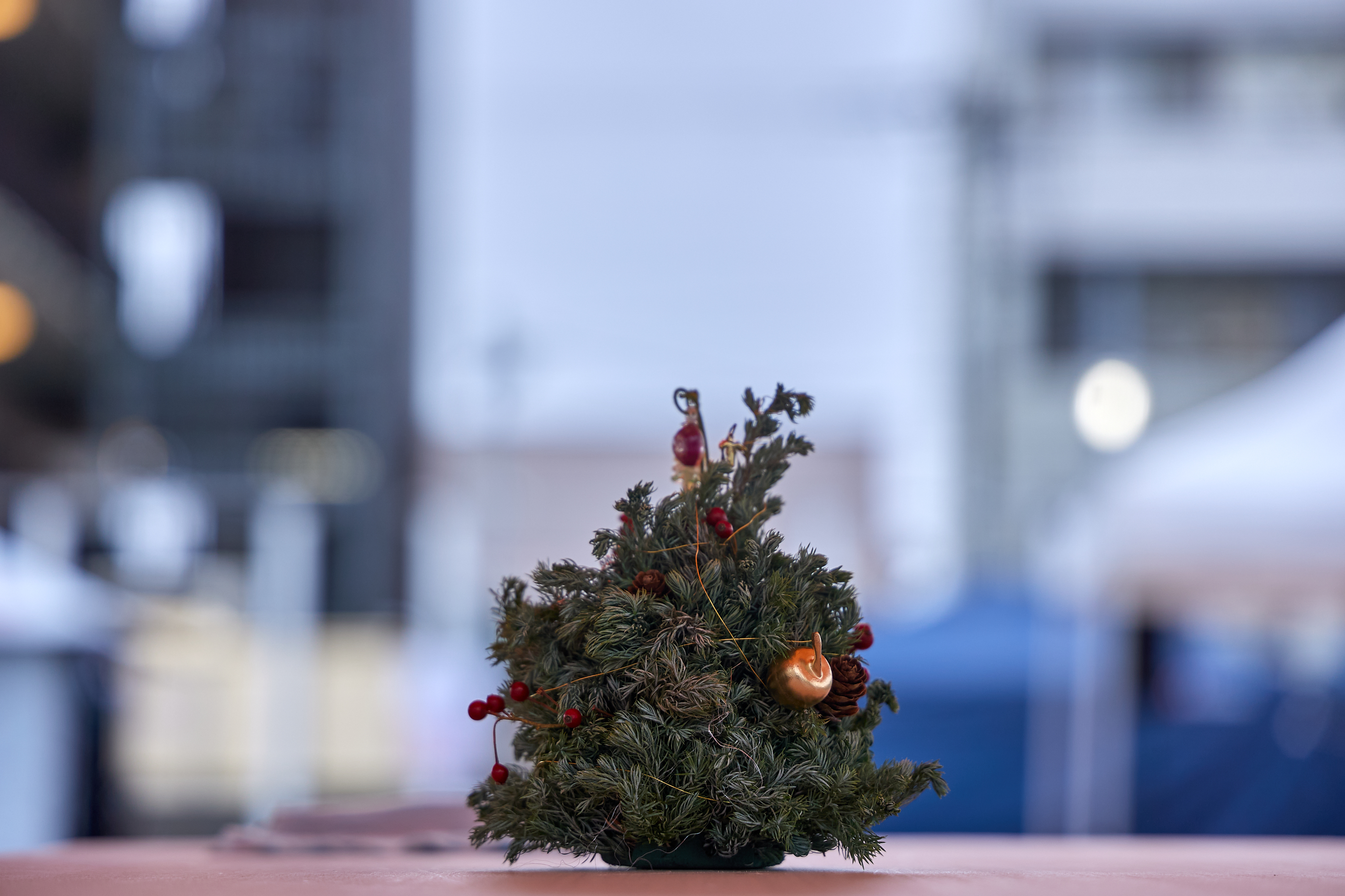 12月事業「笑顔の咲くまちプロジェクト＆レモネードスタンド」ひたちなかベストライオンズクラブ 茨城 ひたちなか ライオンズクラブ