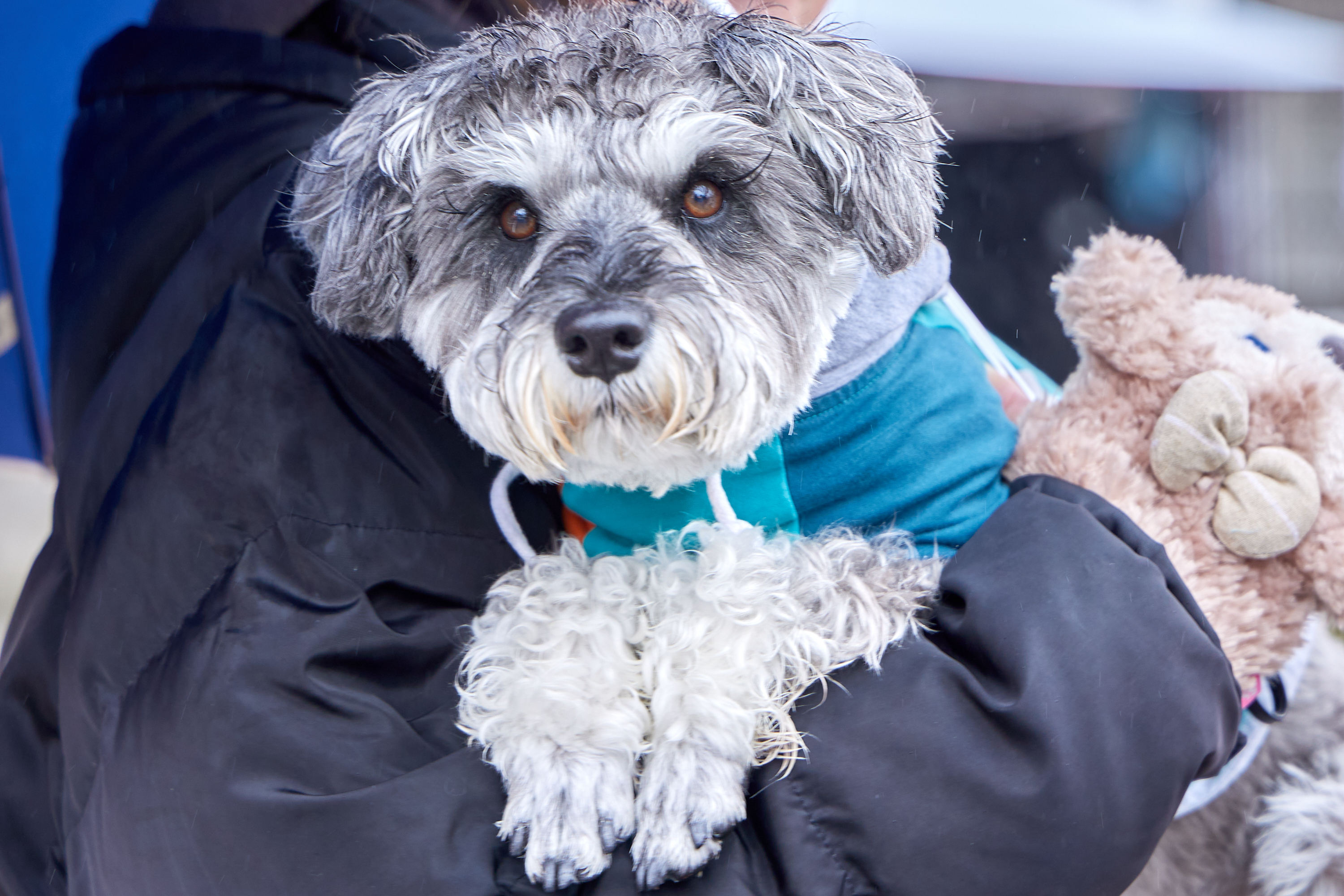 12月事業「笑顔の咲くまちプロジェクト＆レモネードスタンド」ひたちなかベストライオンズクラブ 茨城 ひたちなか ライオンズクラブ