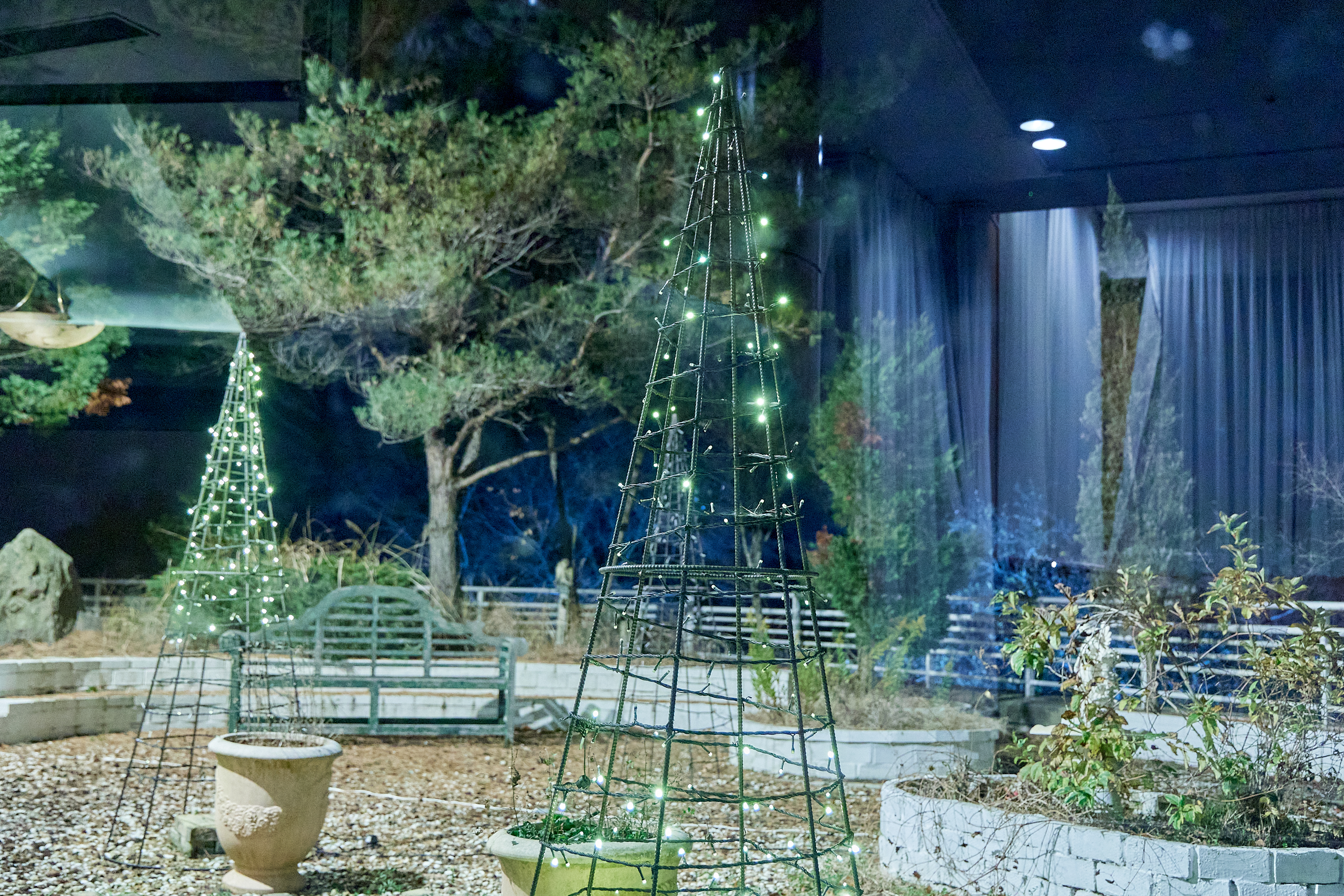 12月第2例会（クリスマス会）ひたちなかベストライオンズクラブ 茨城 ひたちなか ライオンズクラブ