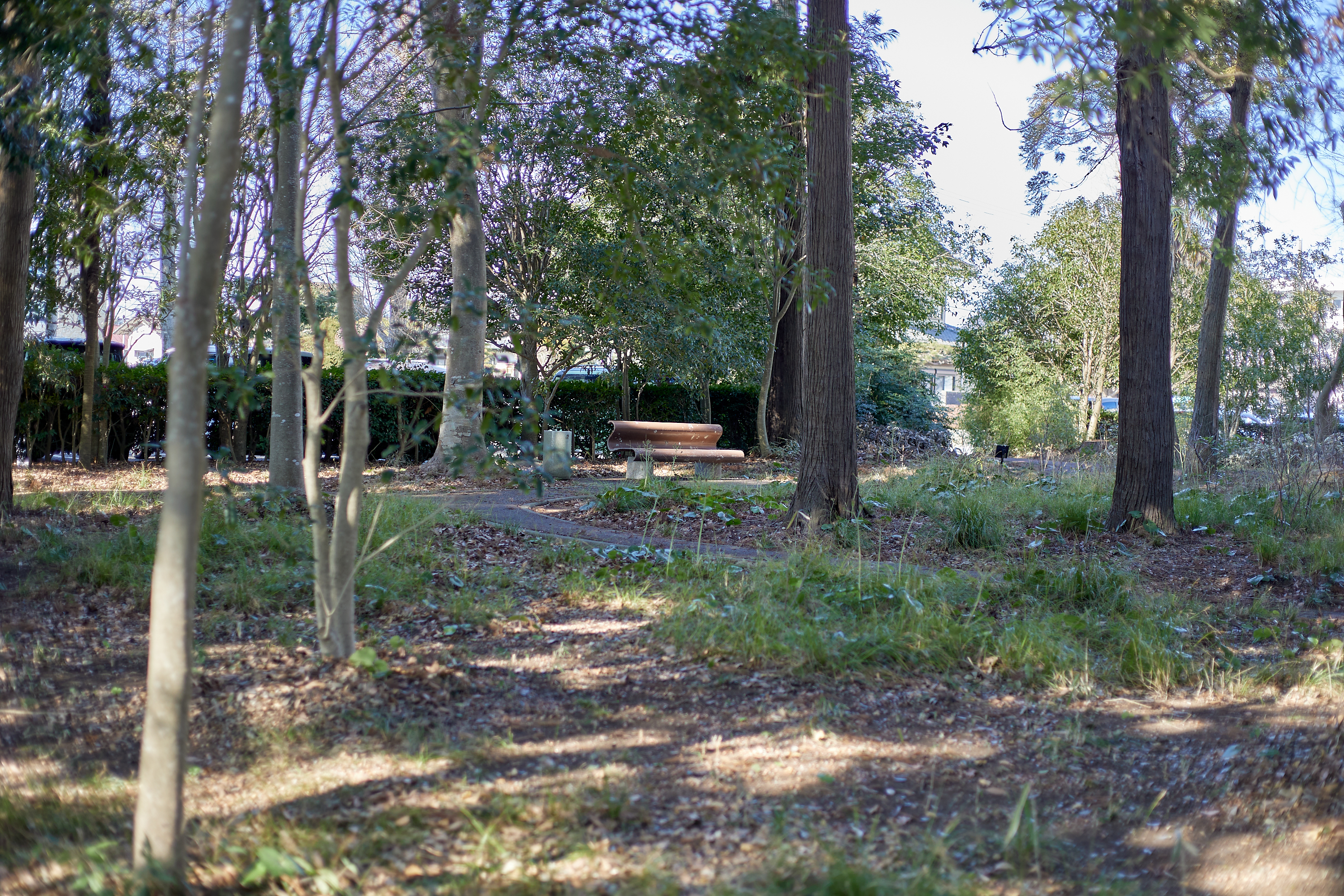 献血奉仕活動 ひたちなかベストライオンズクラブ 茨城 ひたちなか ライオンズクラブ